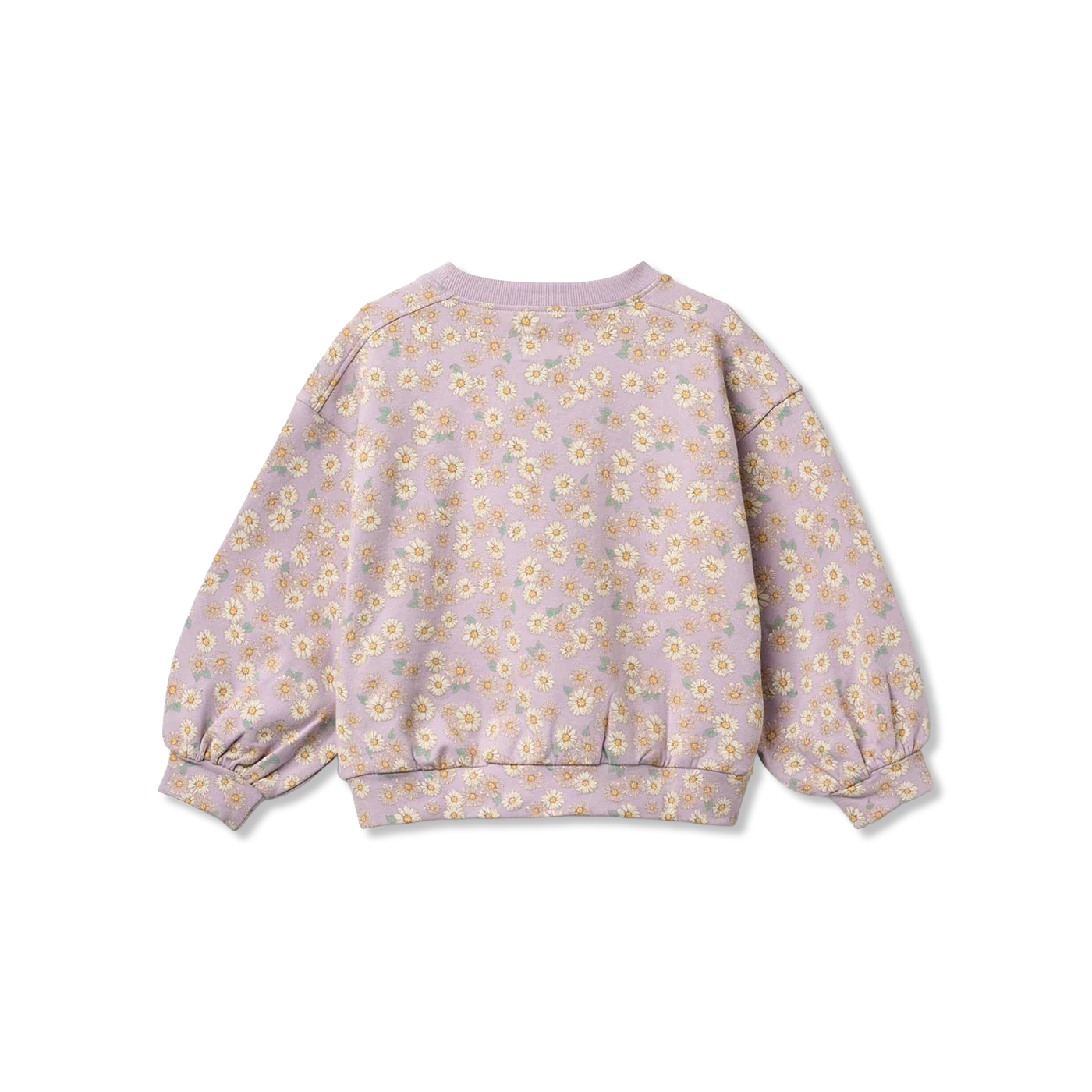 Lia sweatshirts