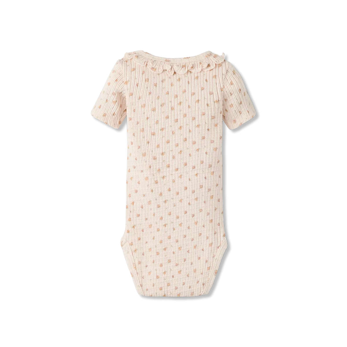 Nbfhulla Body
