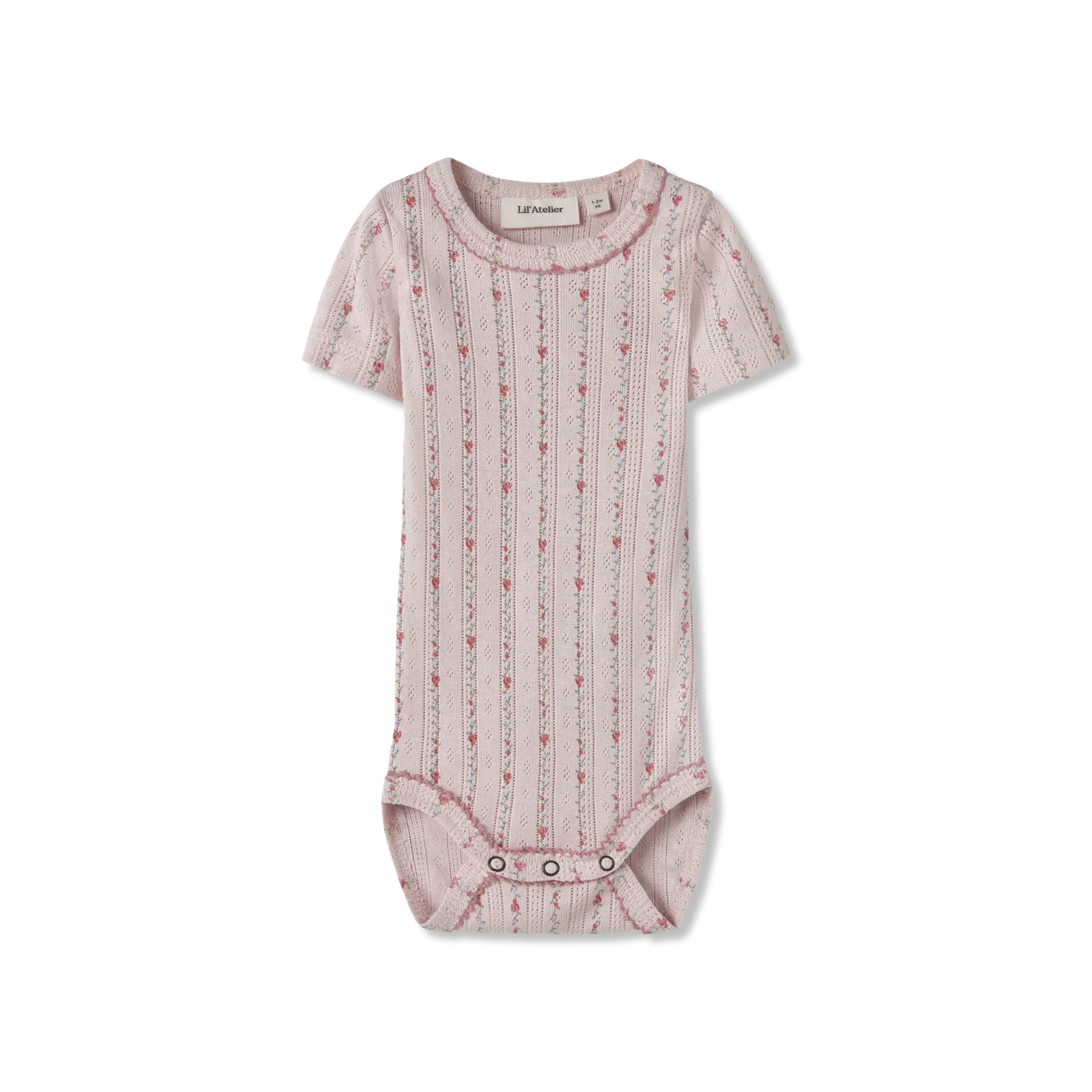 Nbfrachello Body