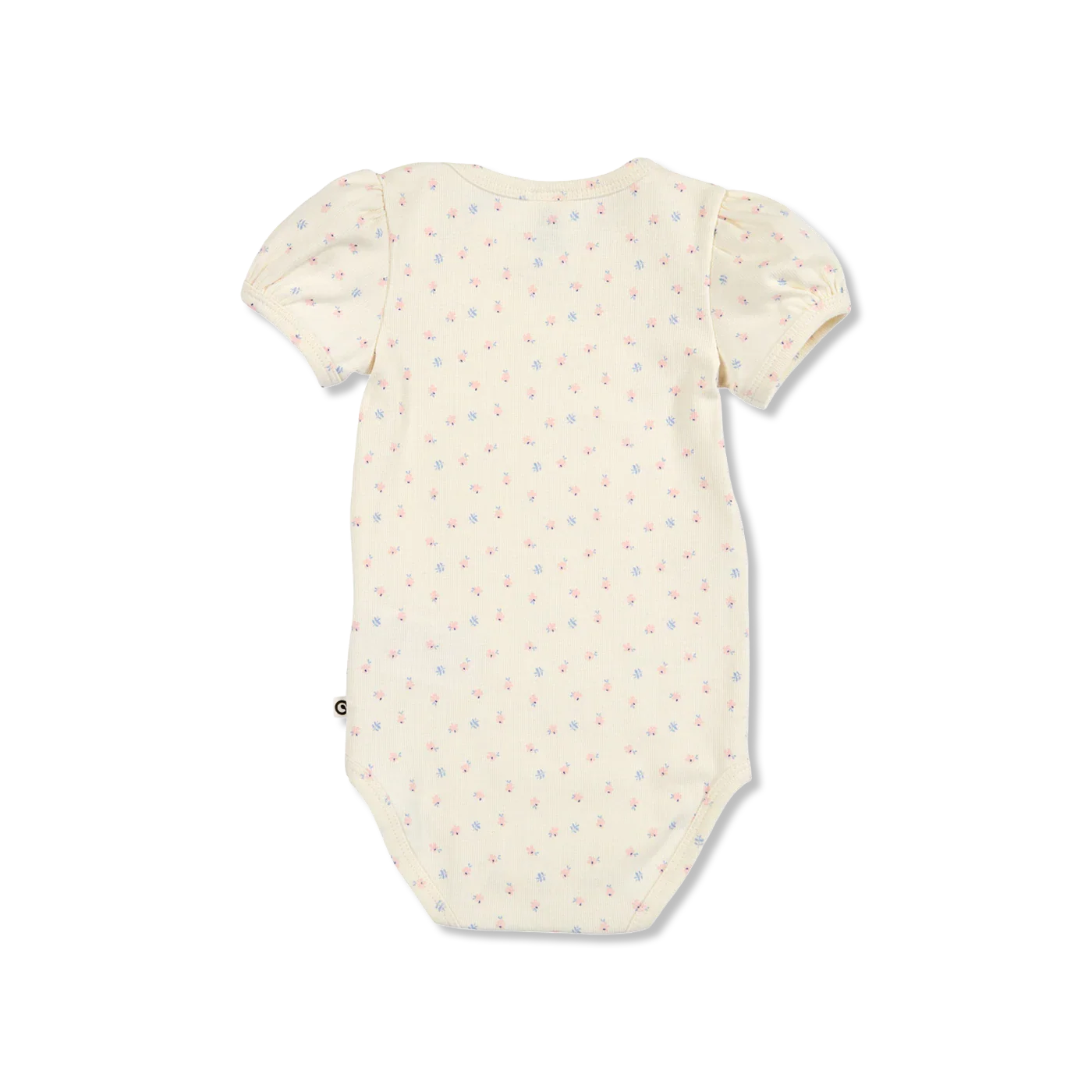 Spring Body