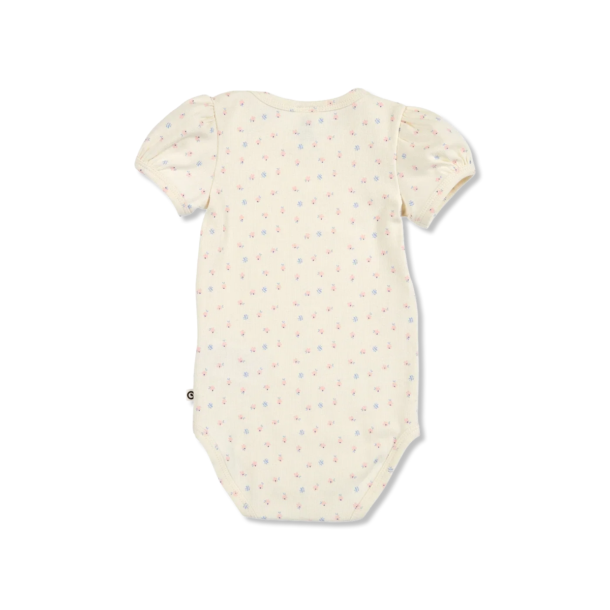 Spring Body