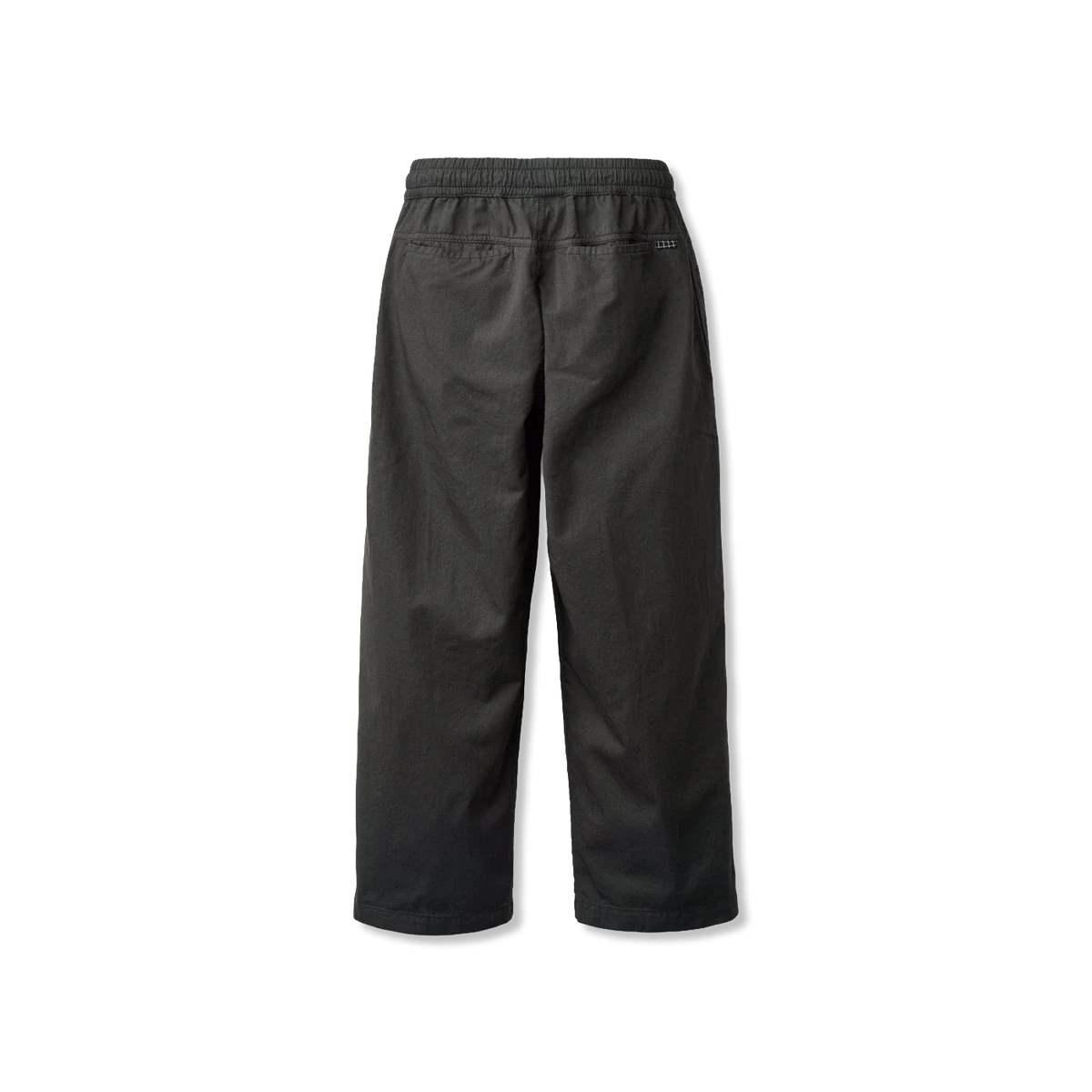 Aster hose