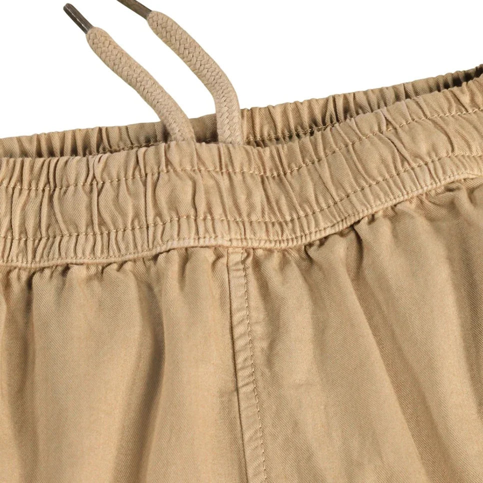 Aster hose
