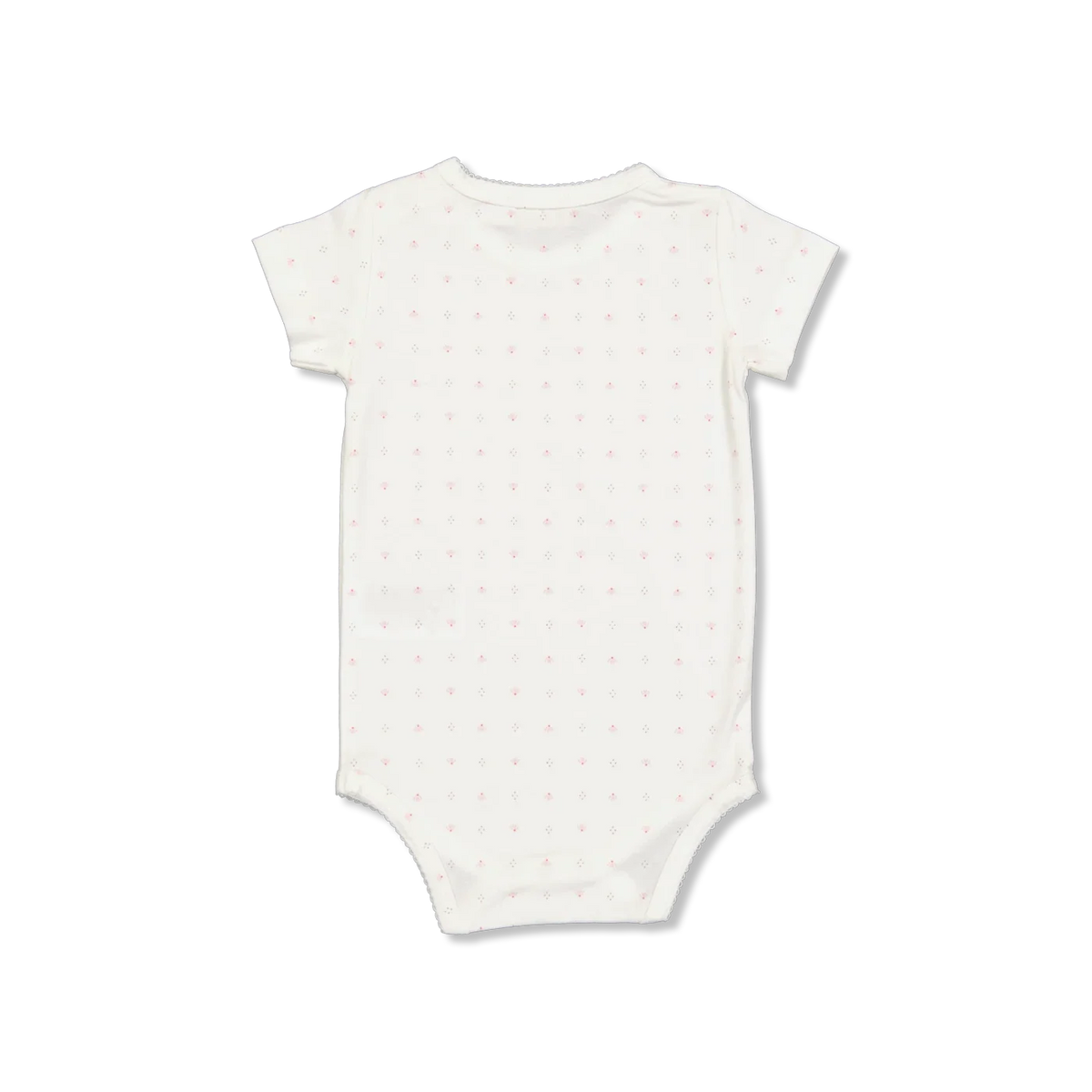 Plain body ss Body