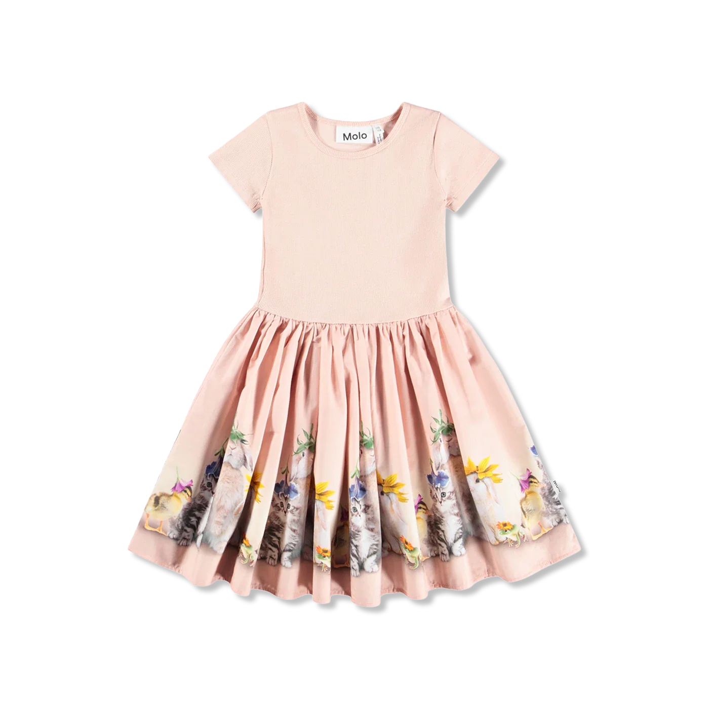 Cissa kleid