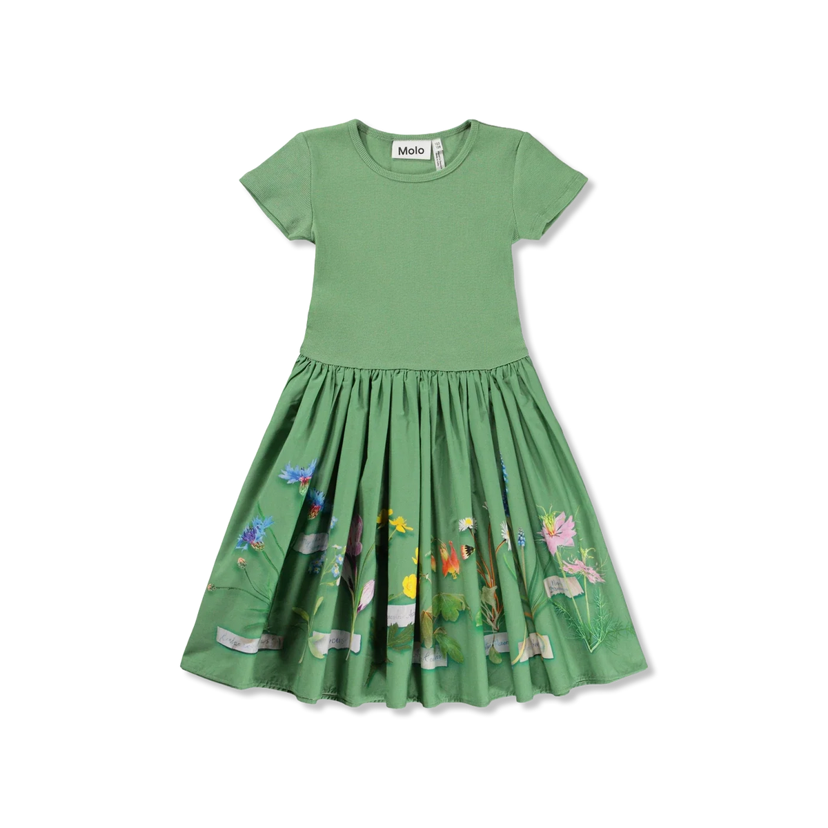 Cissa kleid