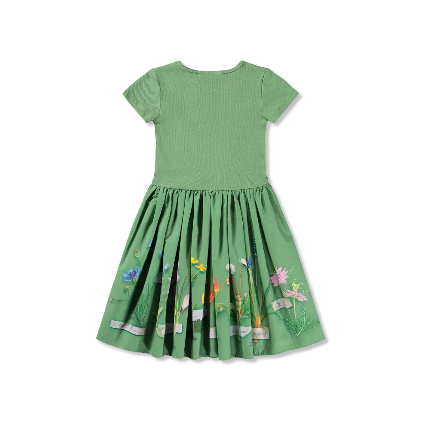 Cissa kleid