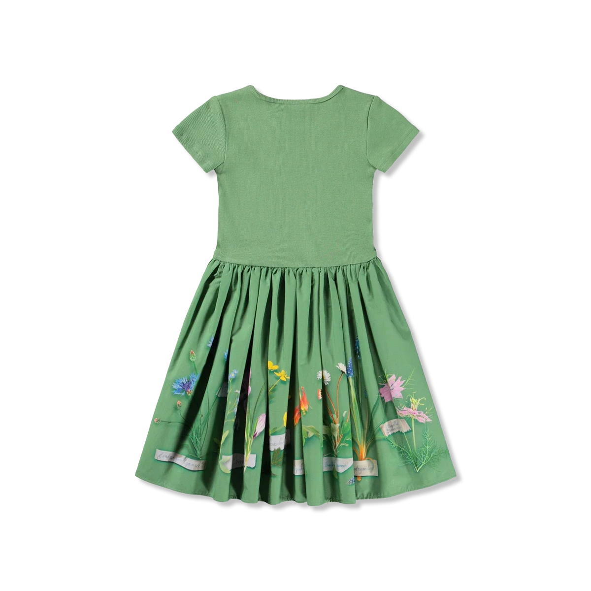 Cissa kleid
