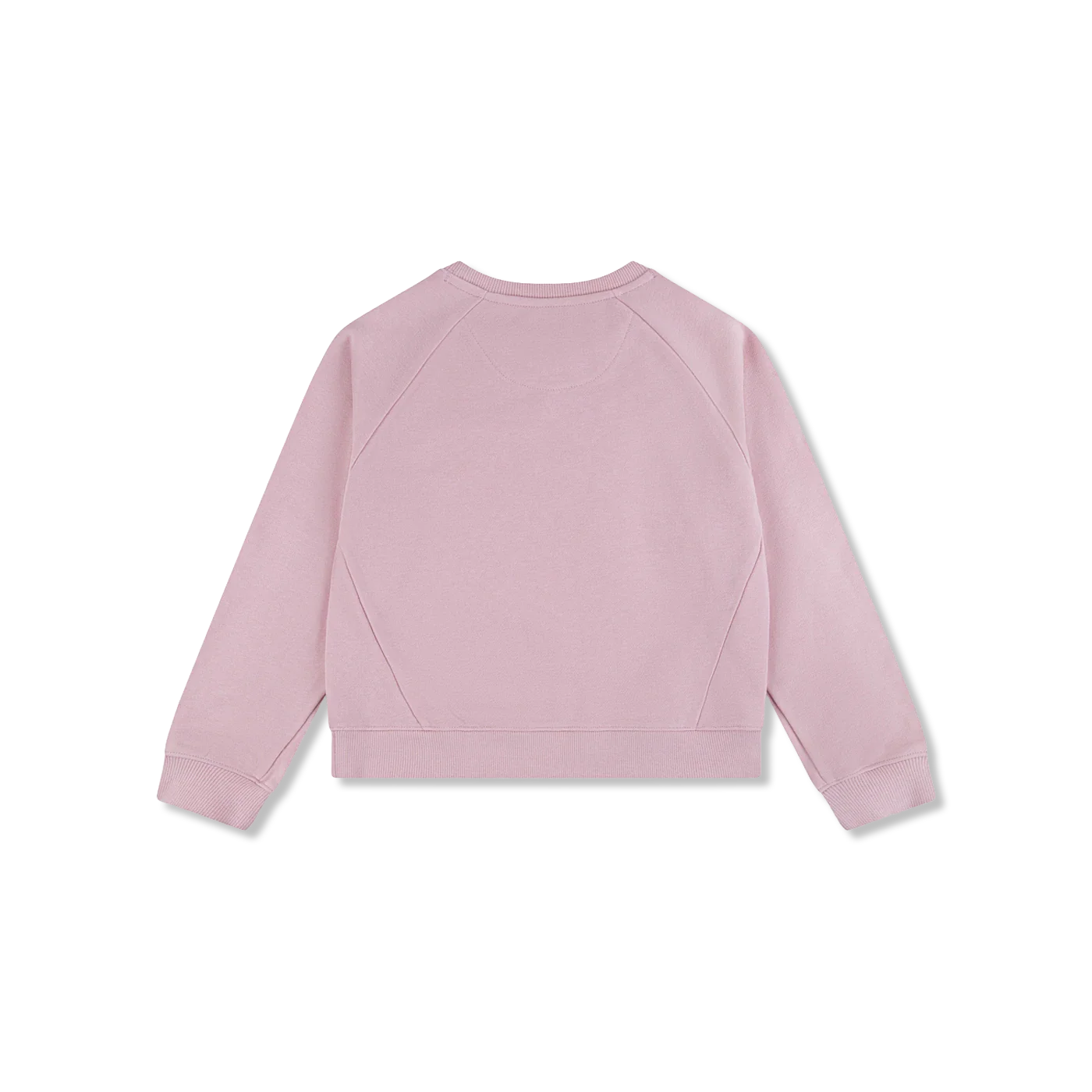 LVG CREW langarmshirt