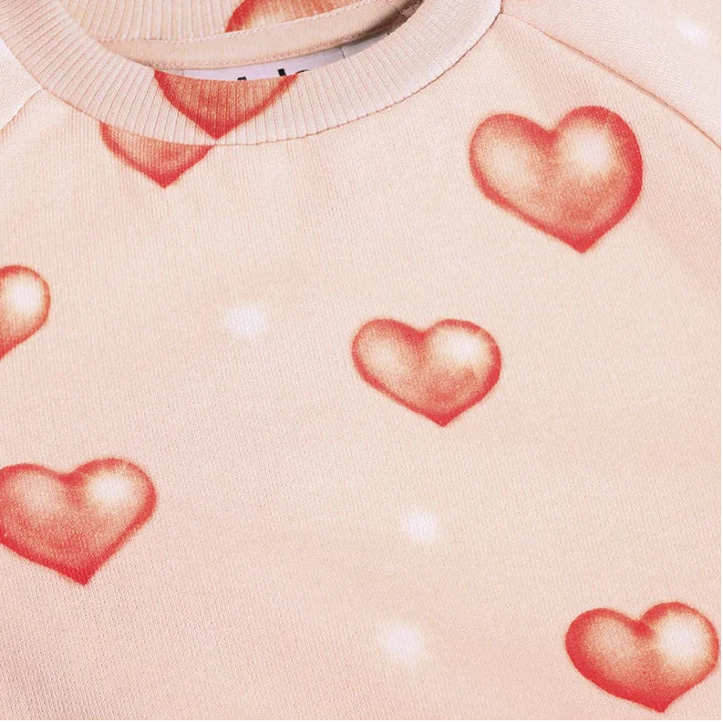 Disc Sweatshirt