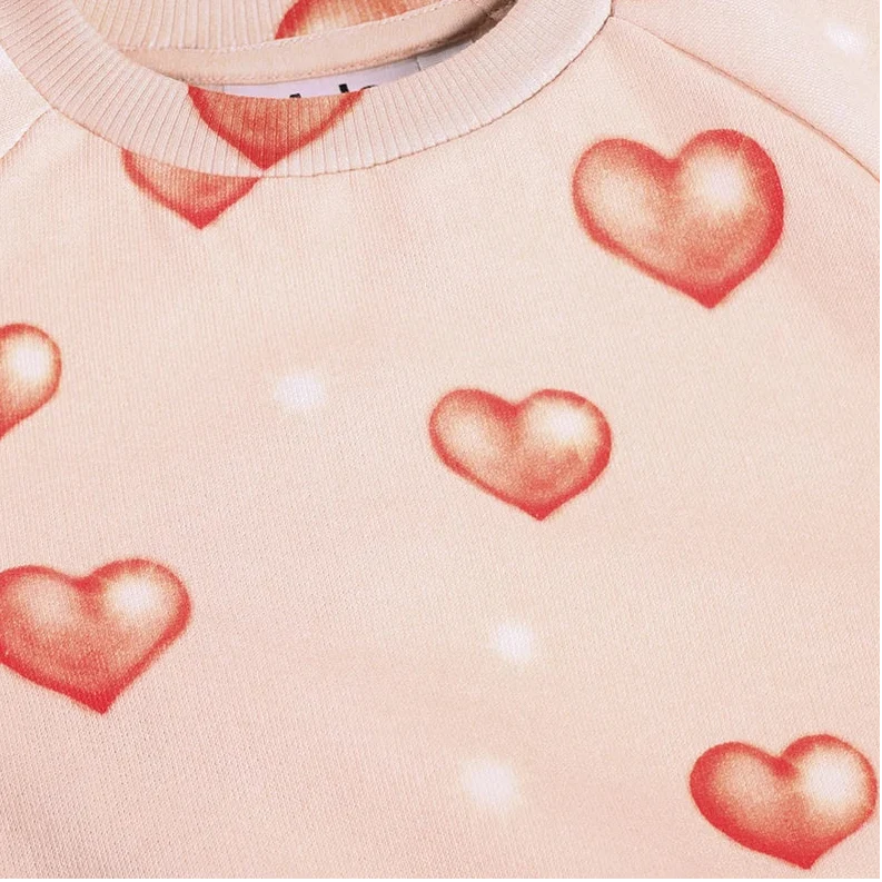 Disc Sweatshirt
