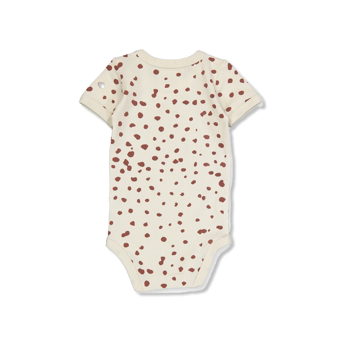 ALBI body