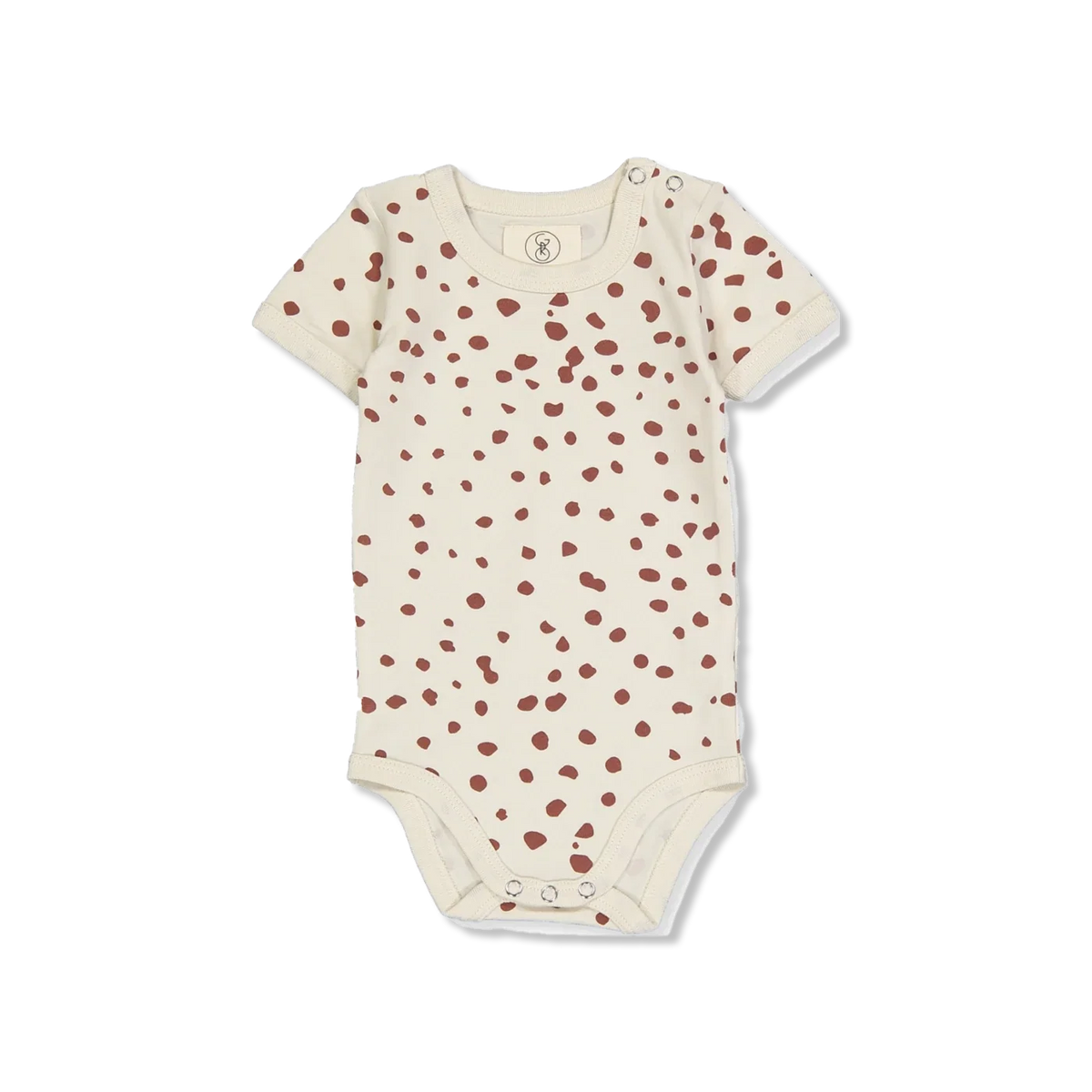 ALBI body