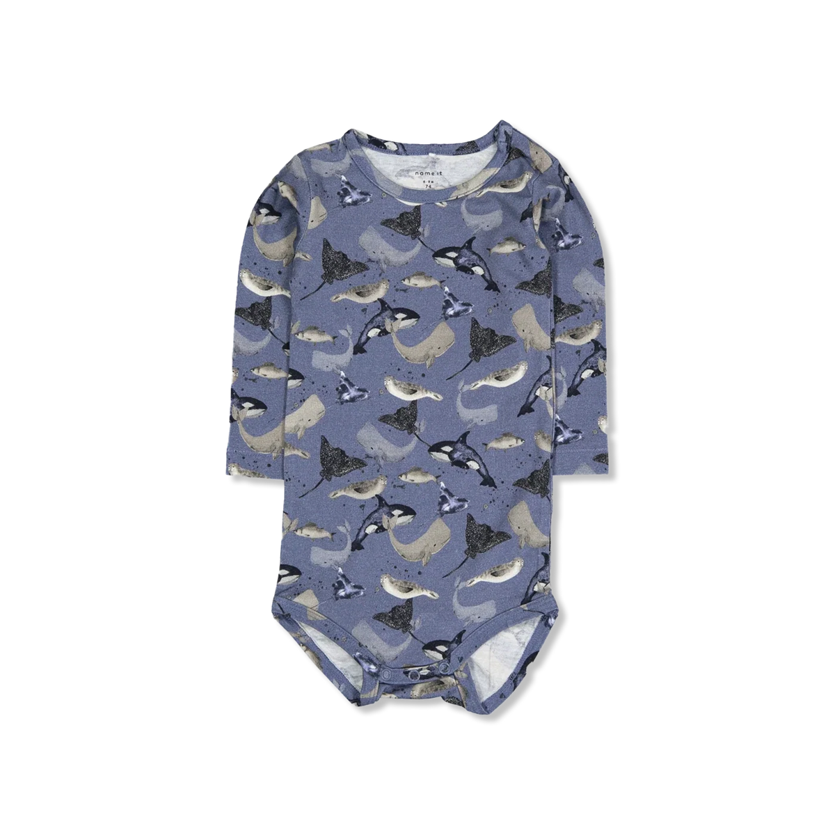 NBMTAMMES body