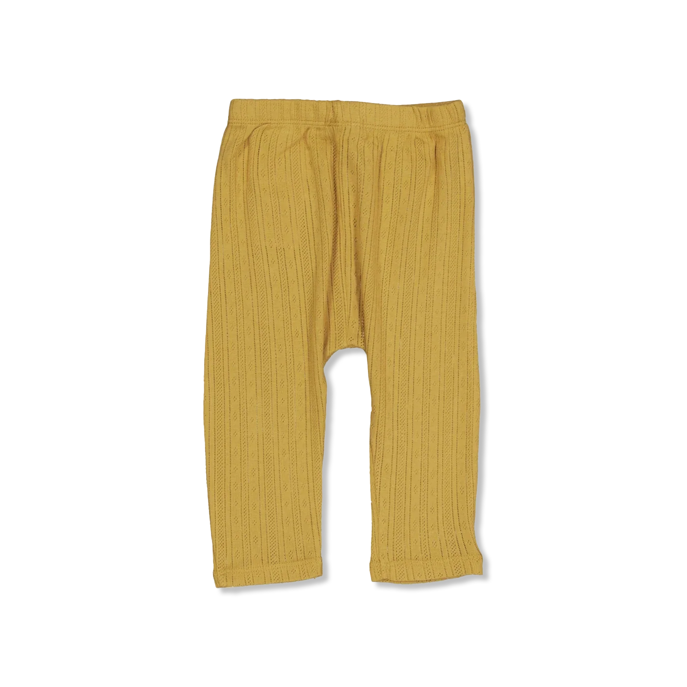 NBFRACHEL hose