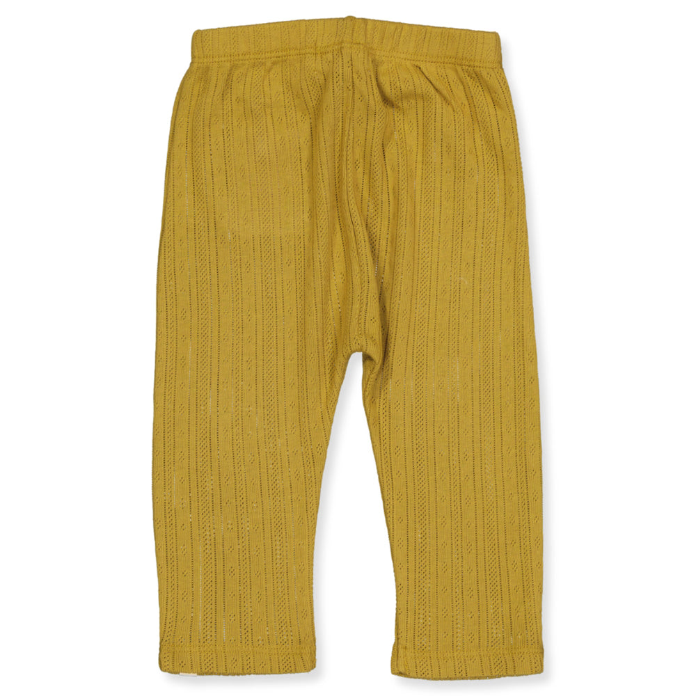 NBFRACHEL hose