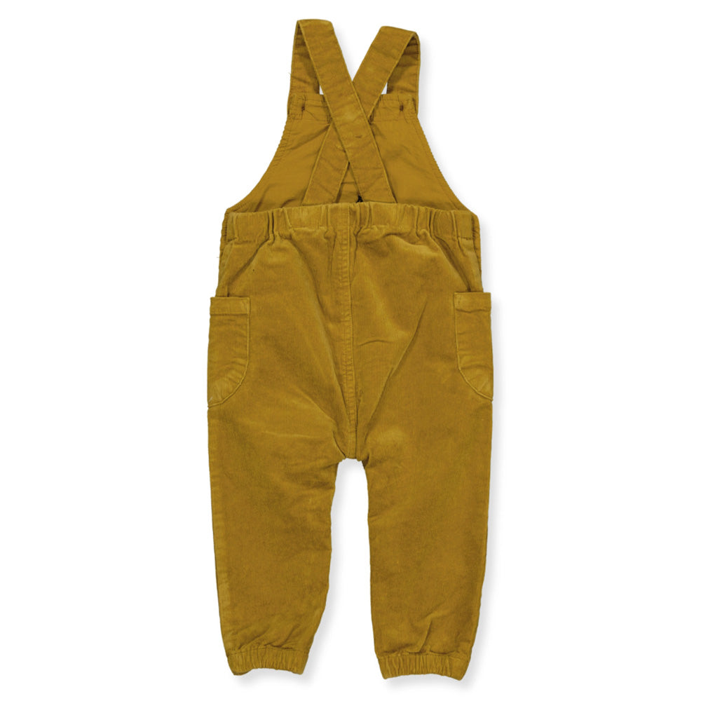 NBMTRUBINO hose