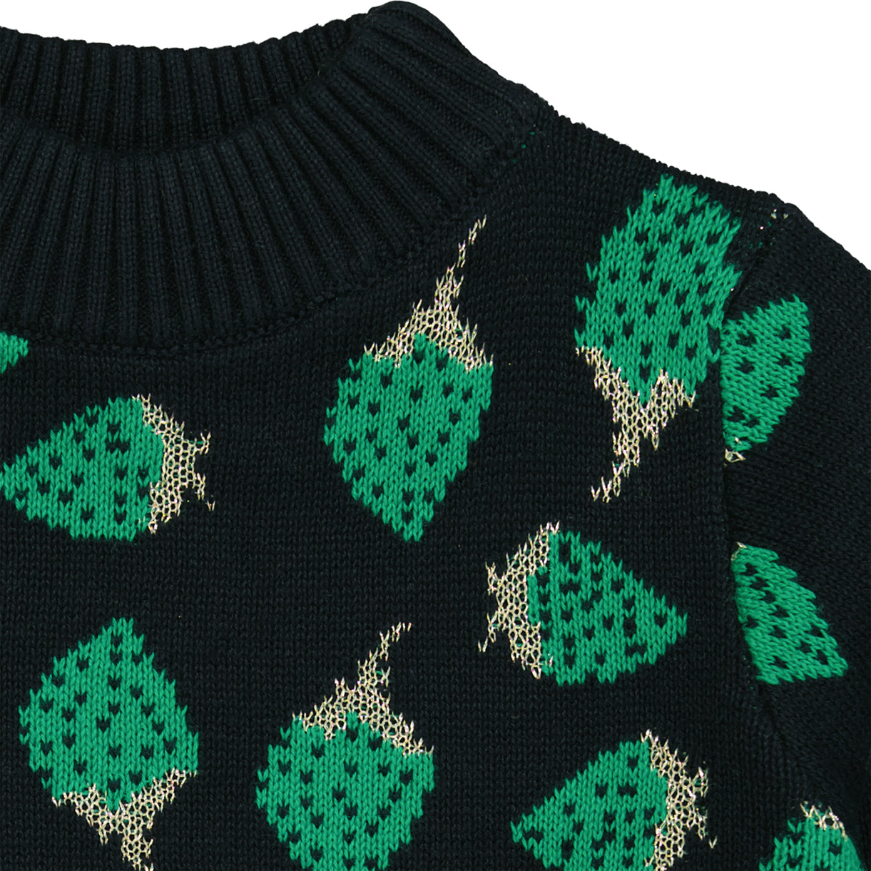 NKFSIBERRY langarmshirt