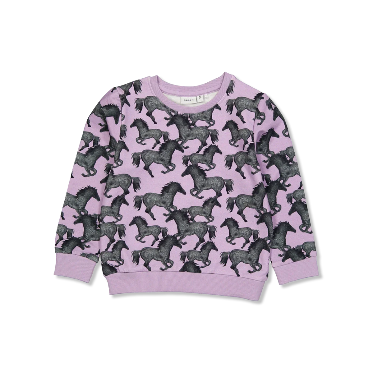 NMFSACHA sweatshirts