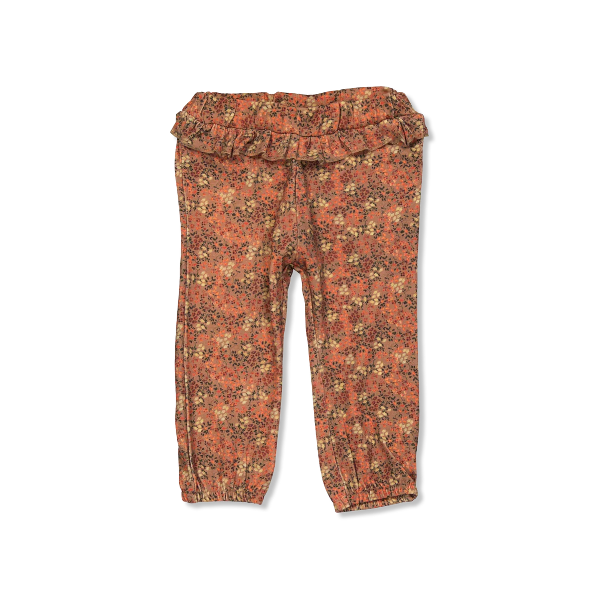 NBFSACHA hose