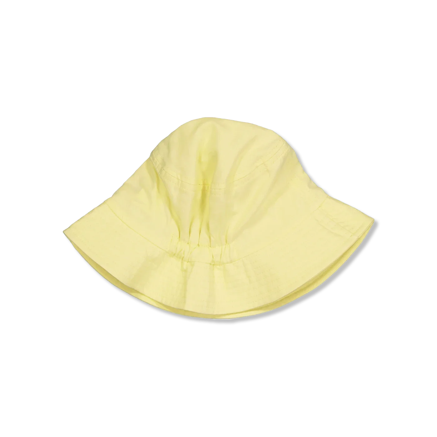 NMFFILLIPA sonnenhut