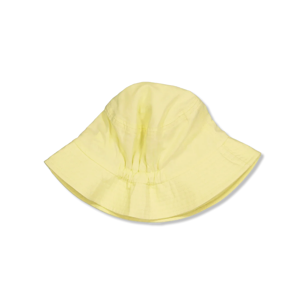 NMFFILLIPA sonnenhut