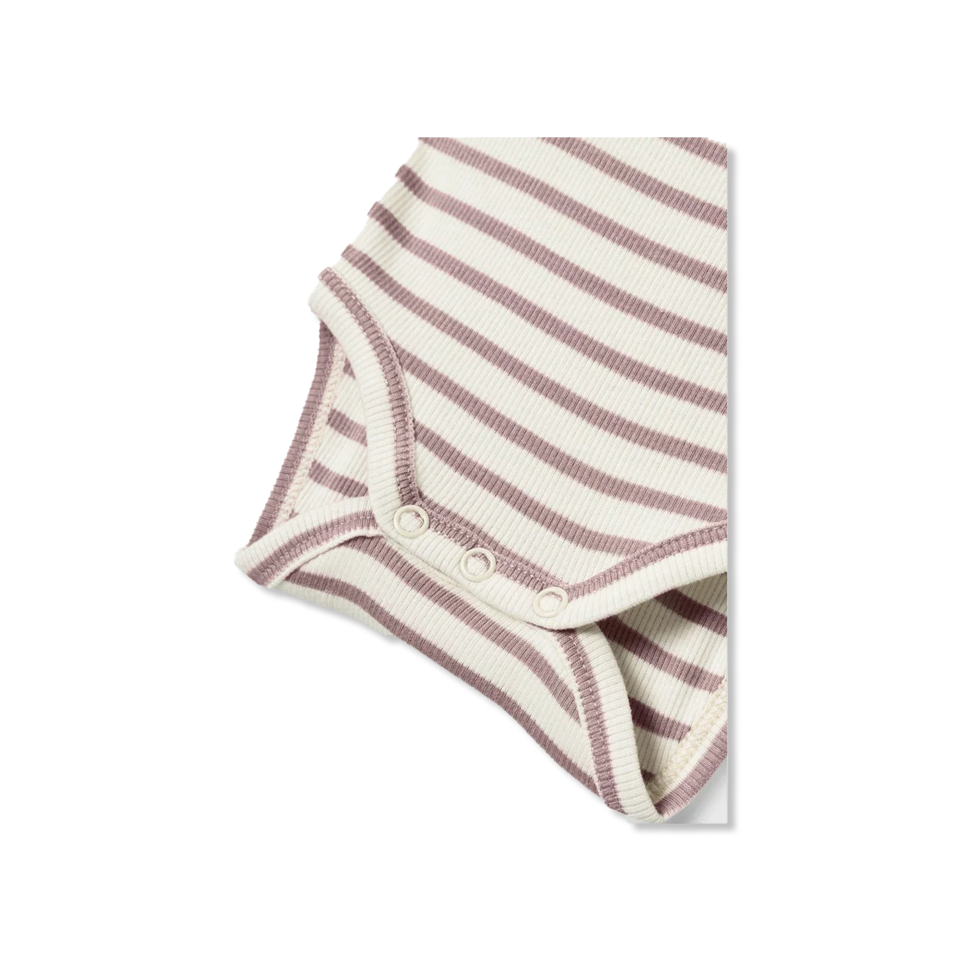 Nbnbani body