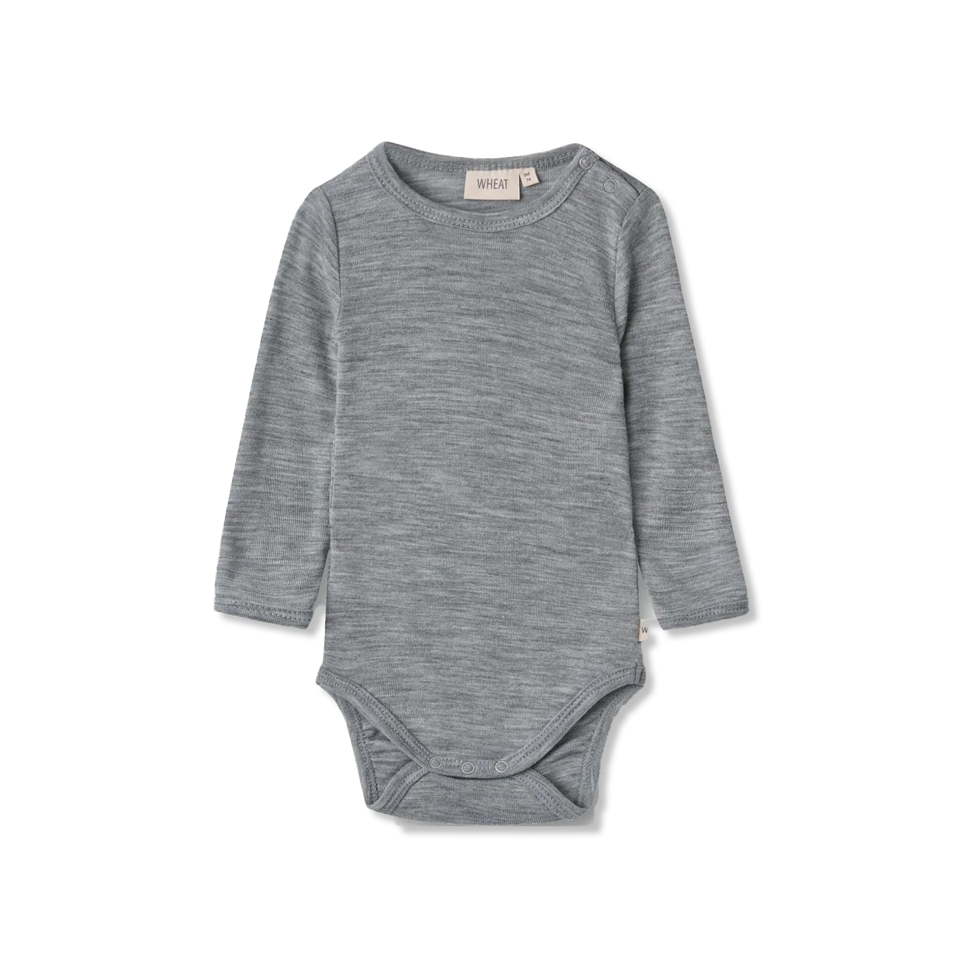 Lucca body