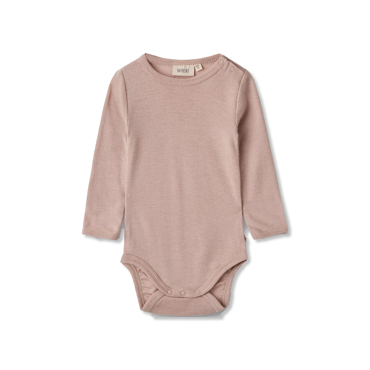Lucca body