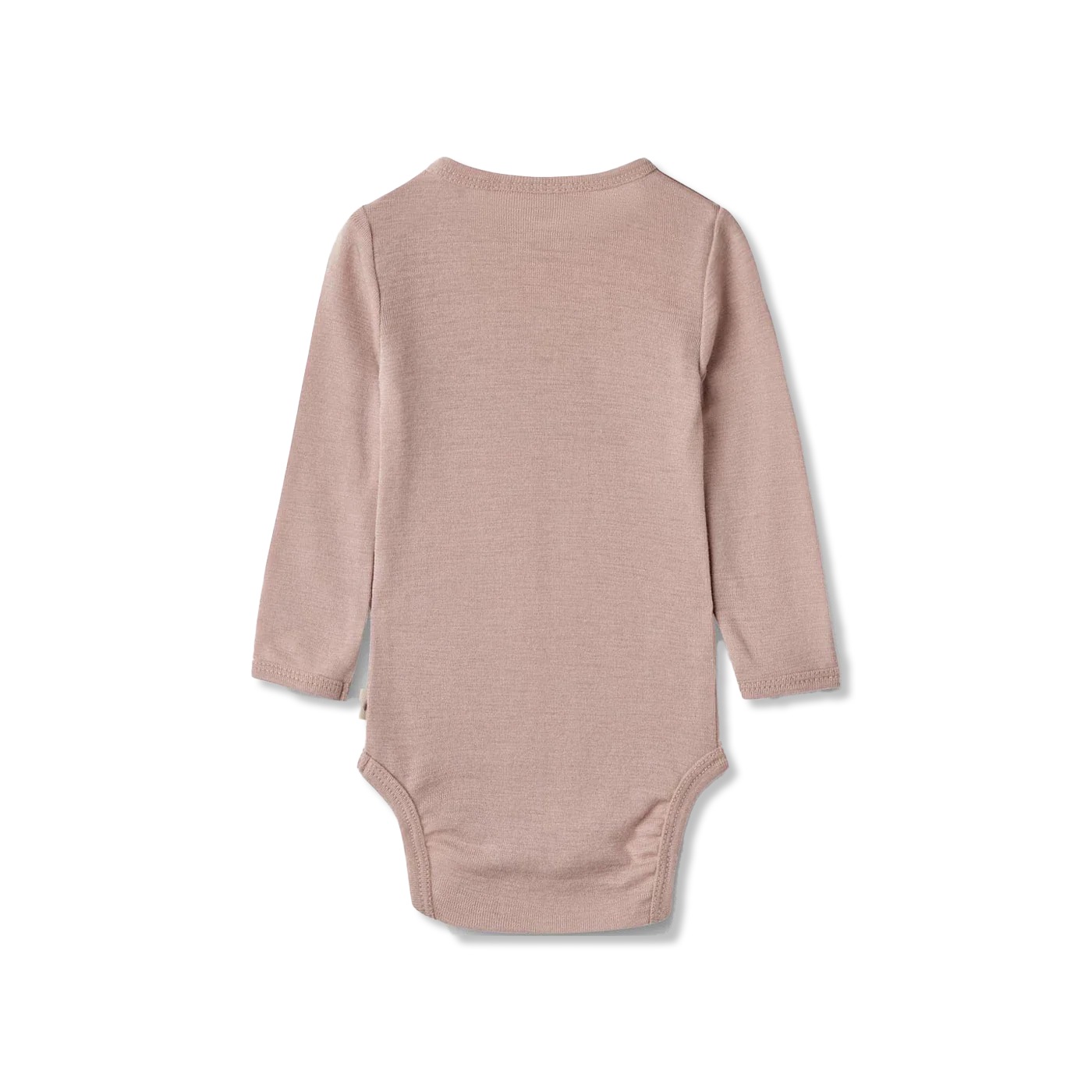 Lucca body