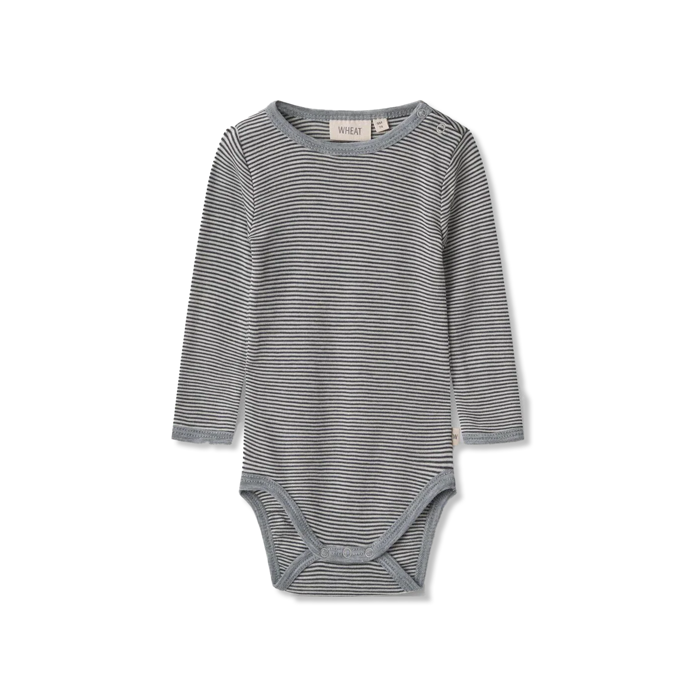 Lucca body