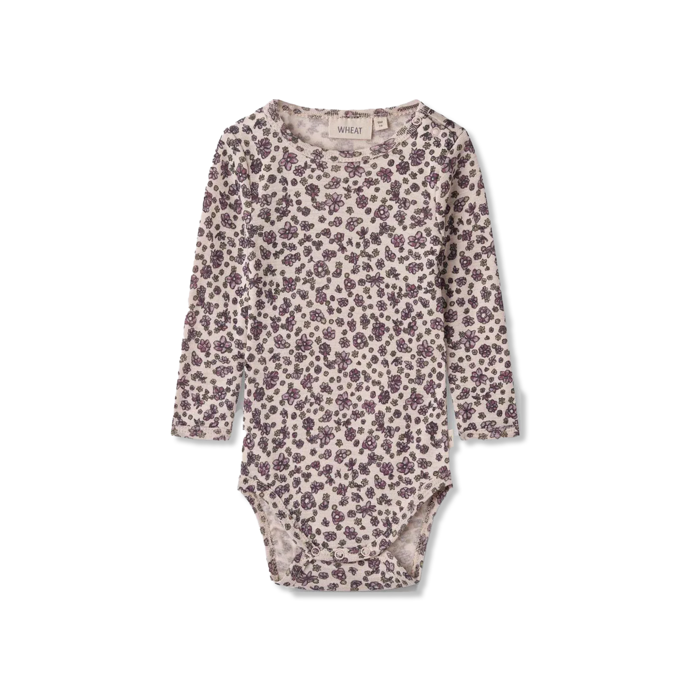 Lucca body