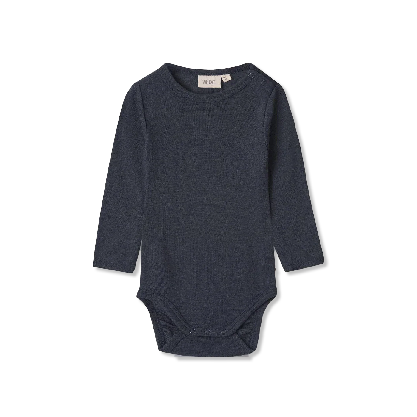 Lucca body