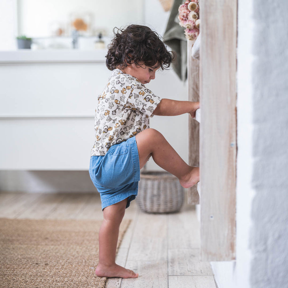 Sander shorts