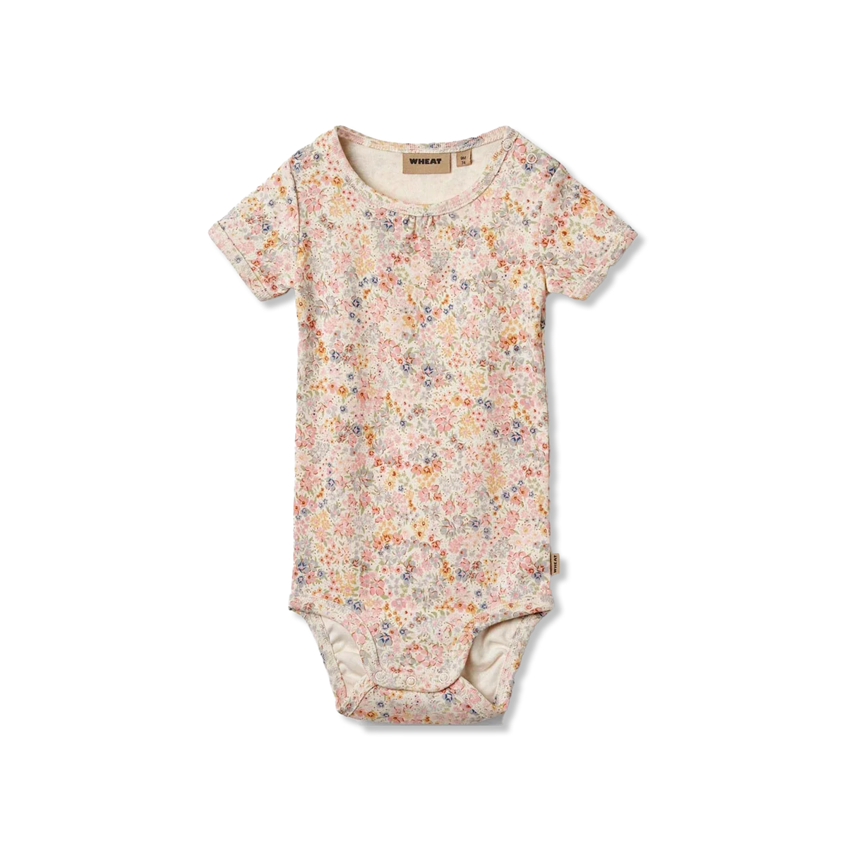 Linette body