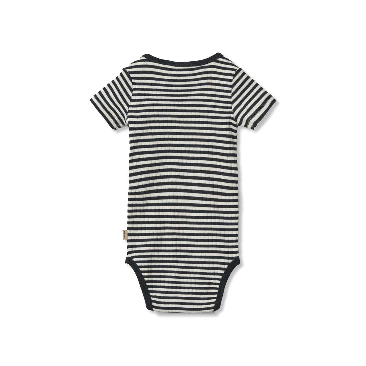 Edvald body