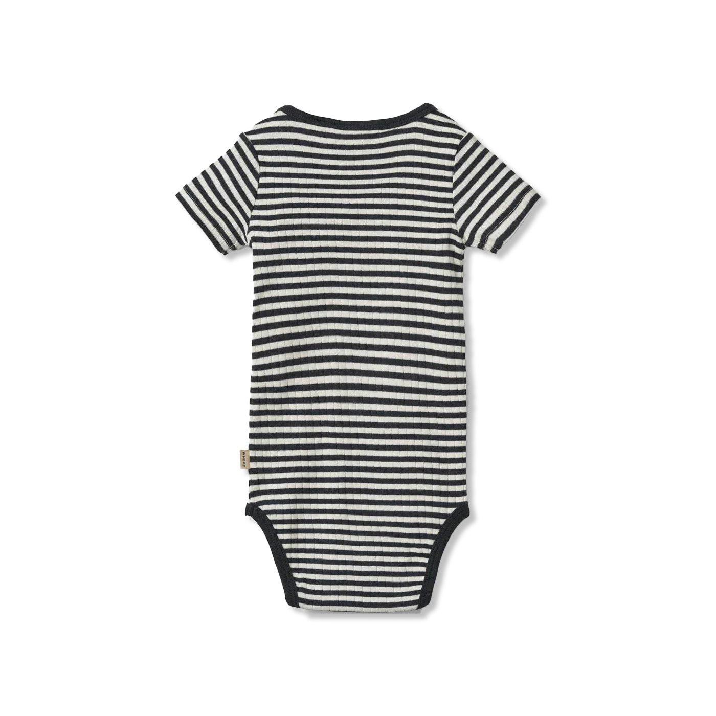 Edvald body