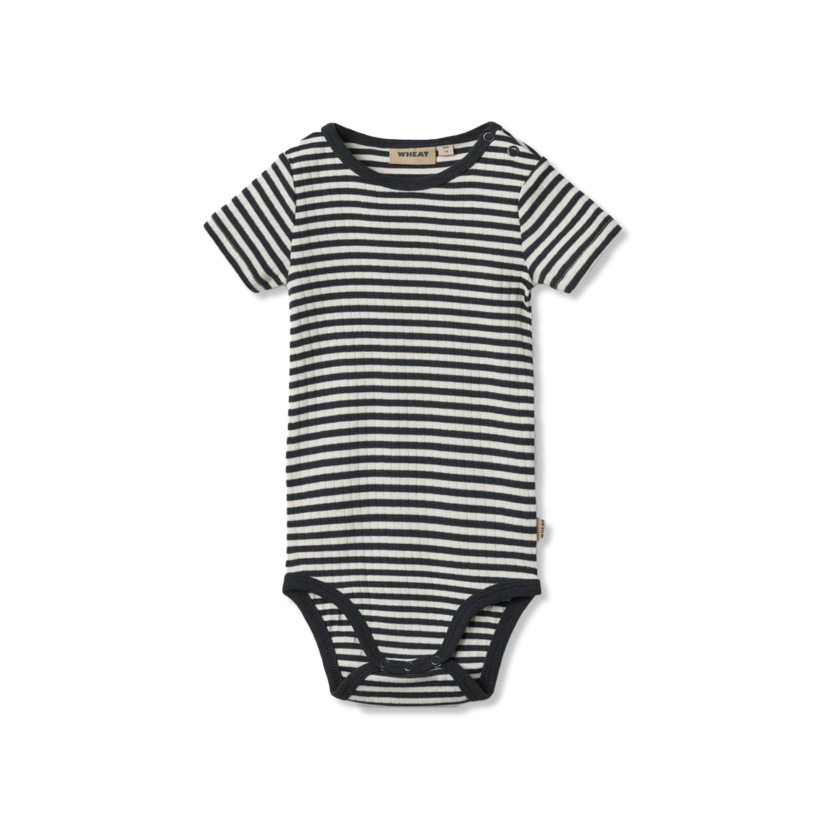 Edvald body
