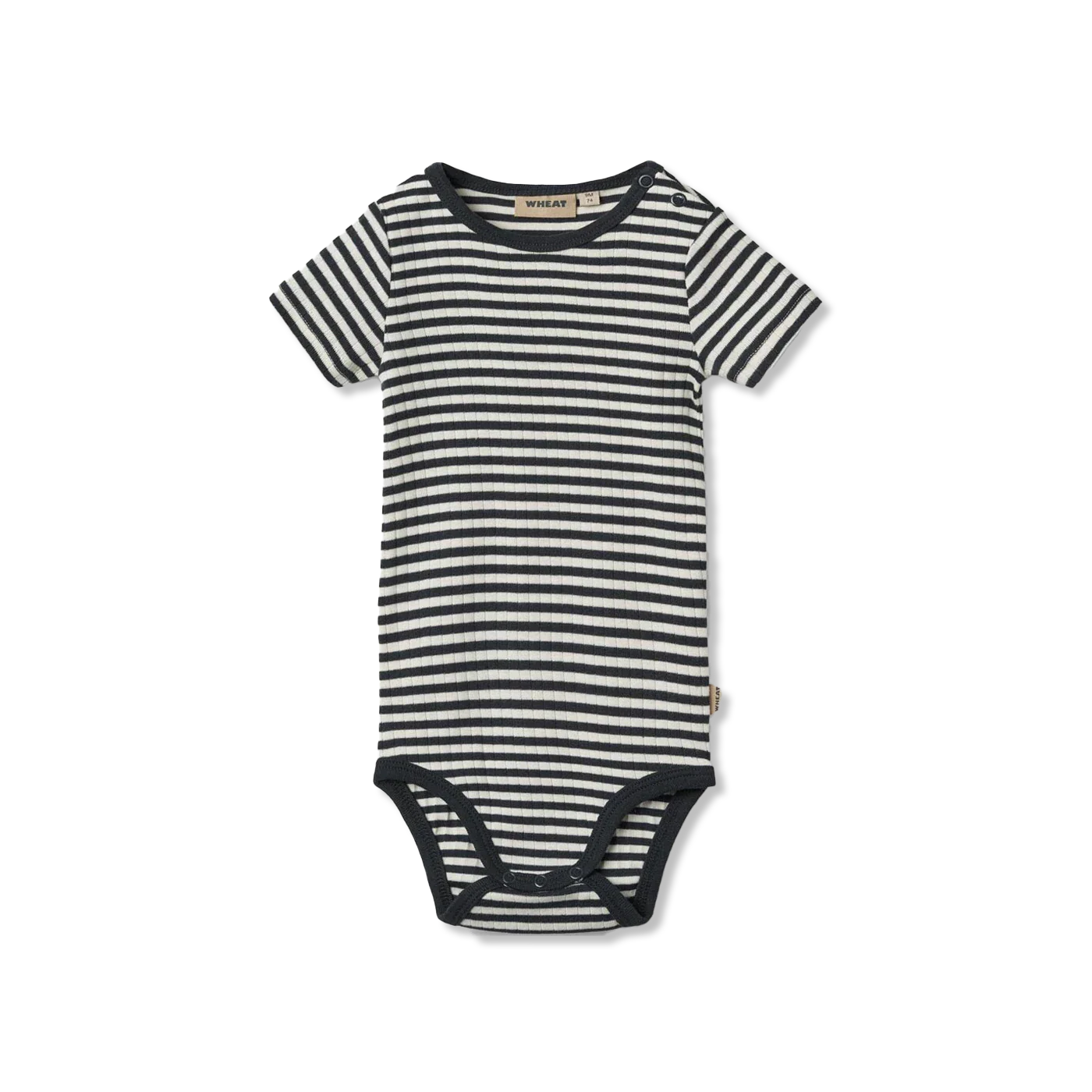 Edvald body