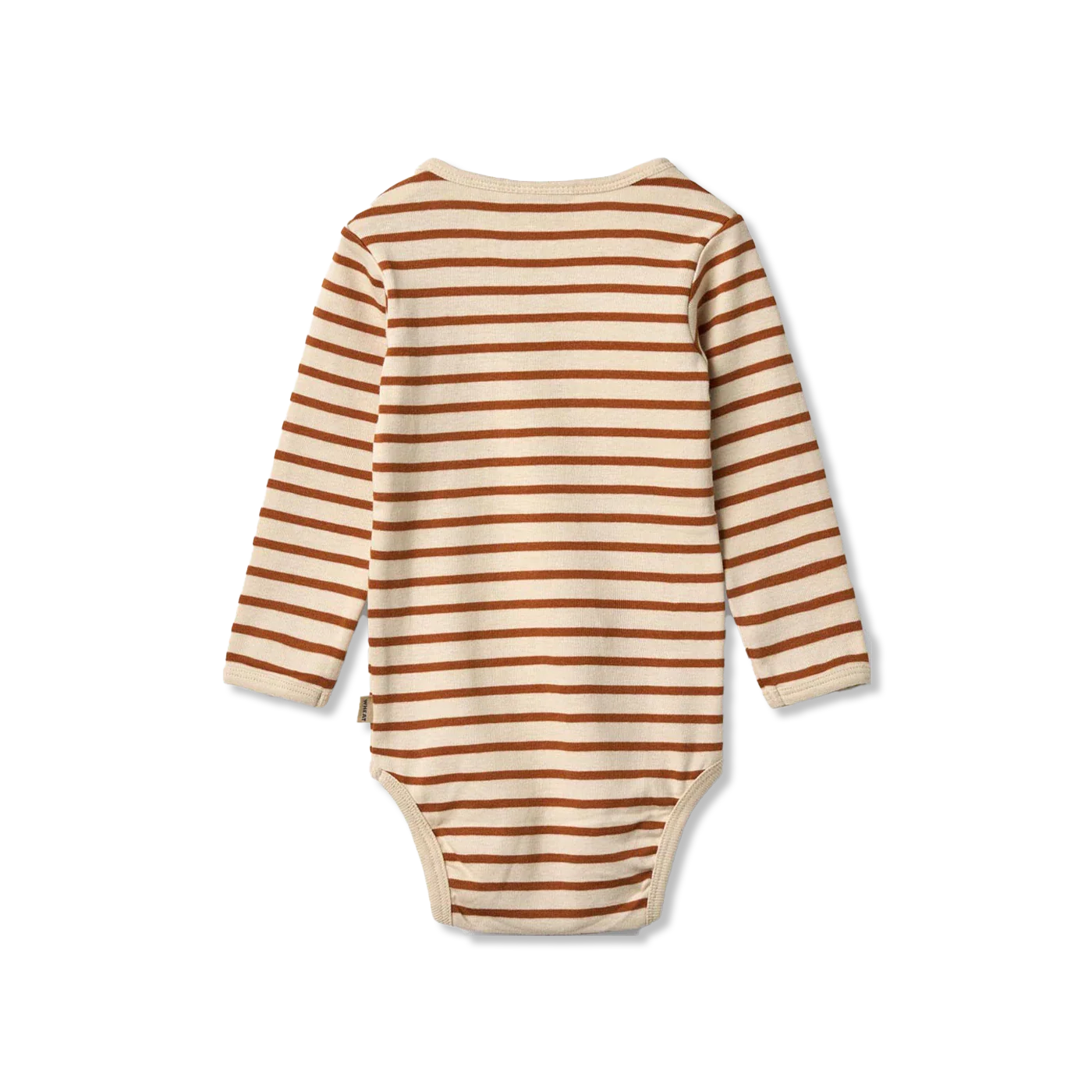 Berti body