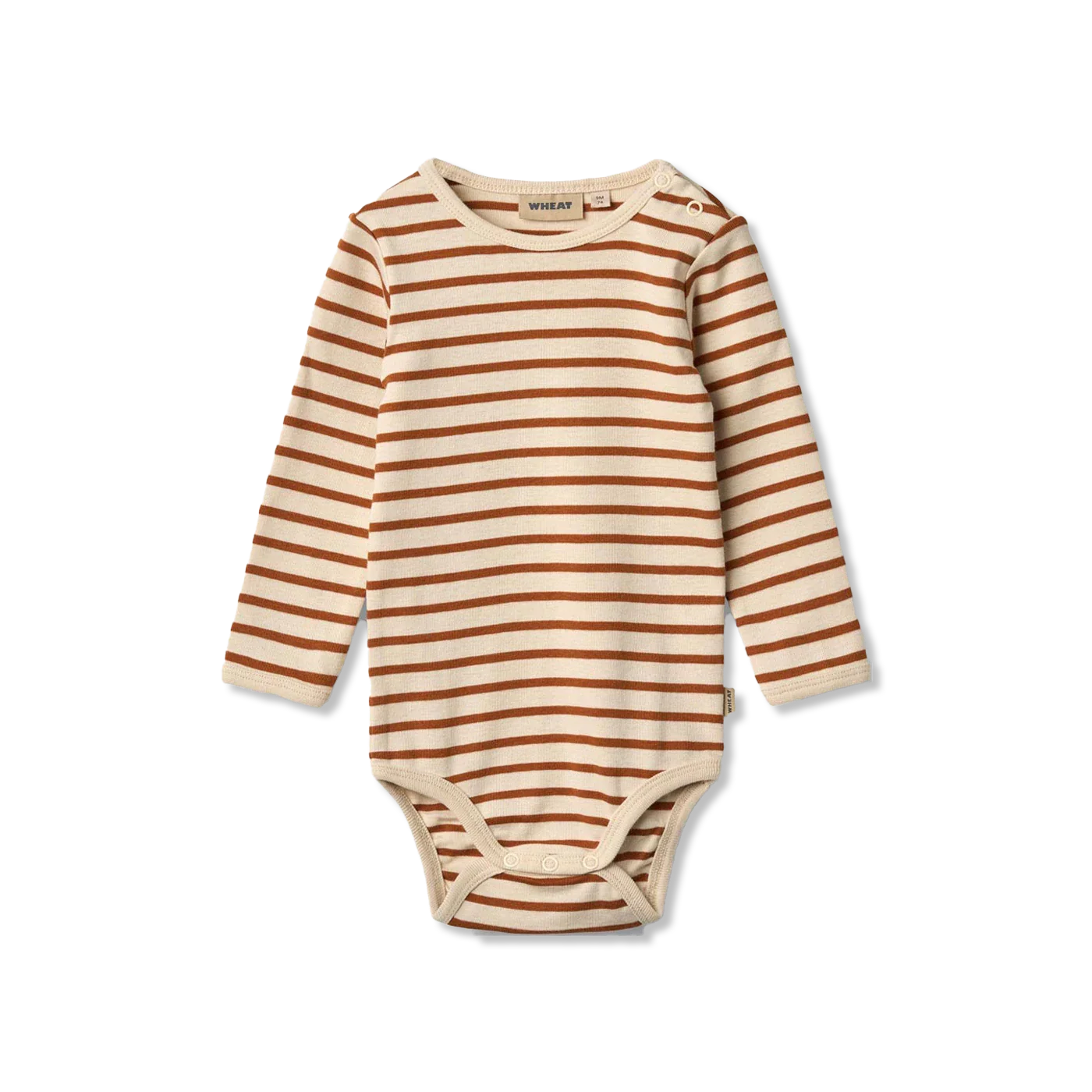 Berti body