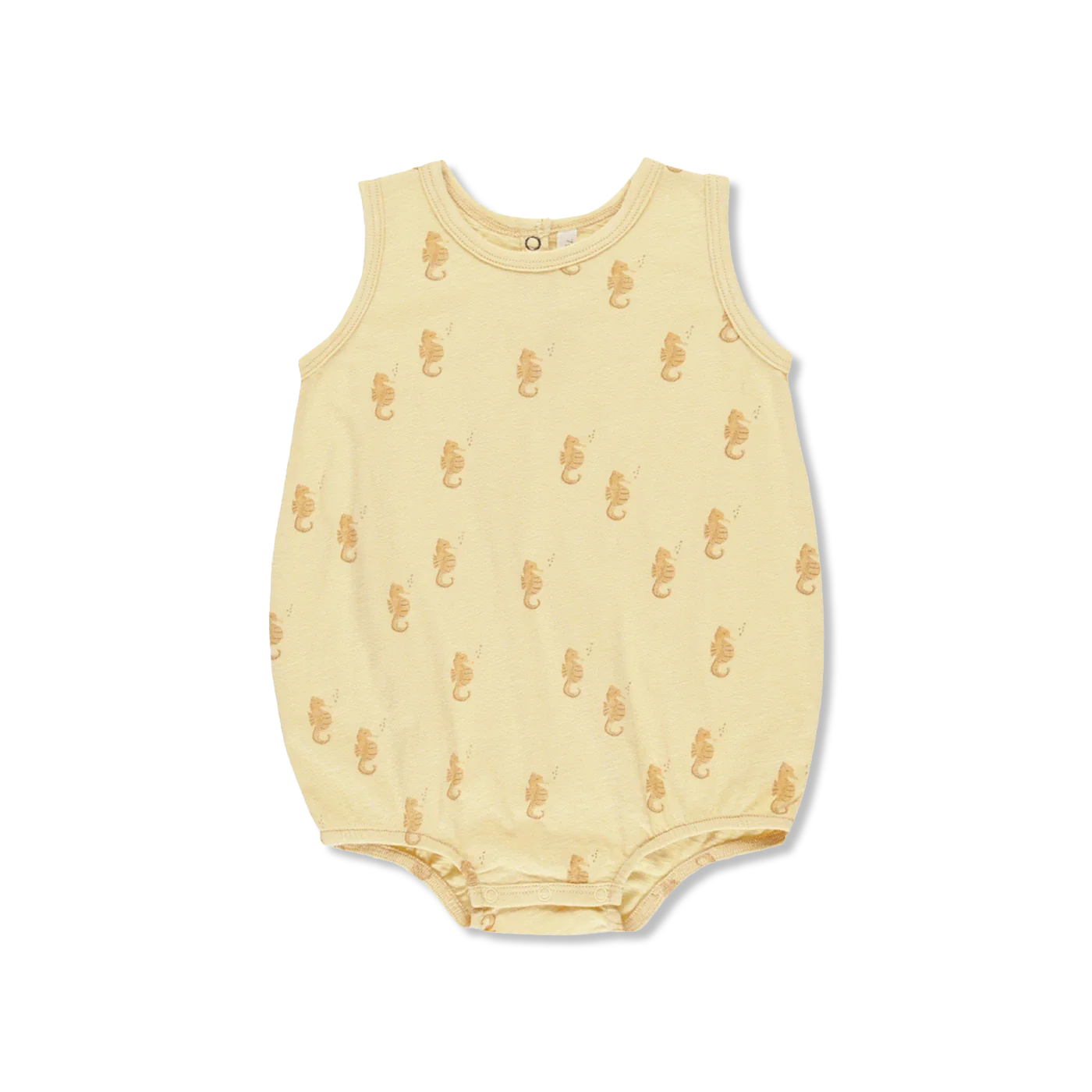 SEAHORSES body