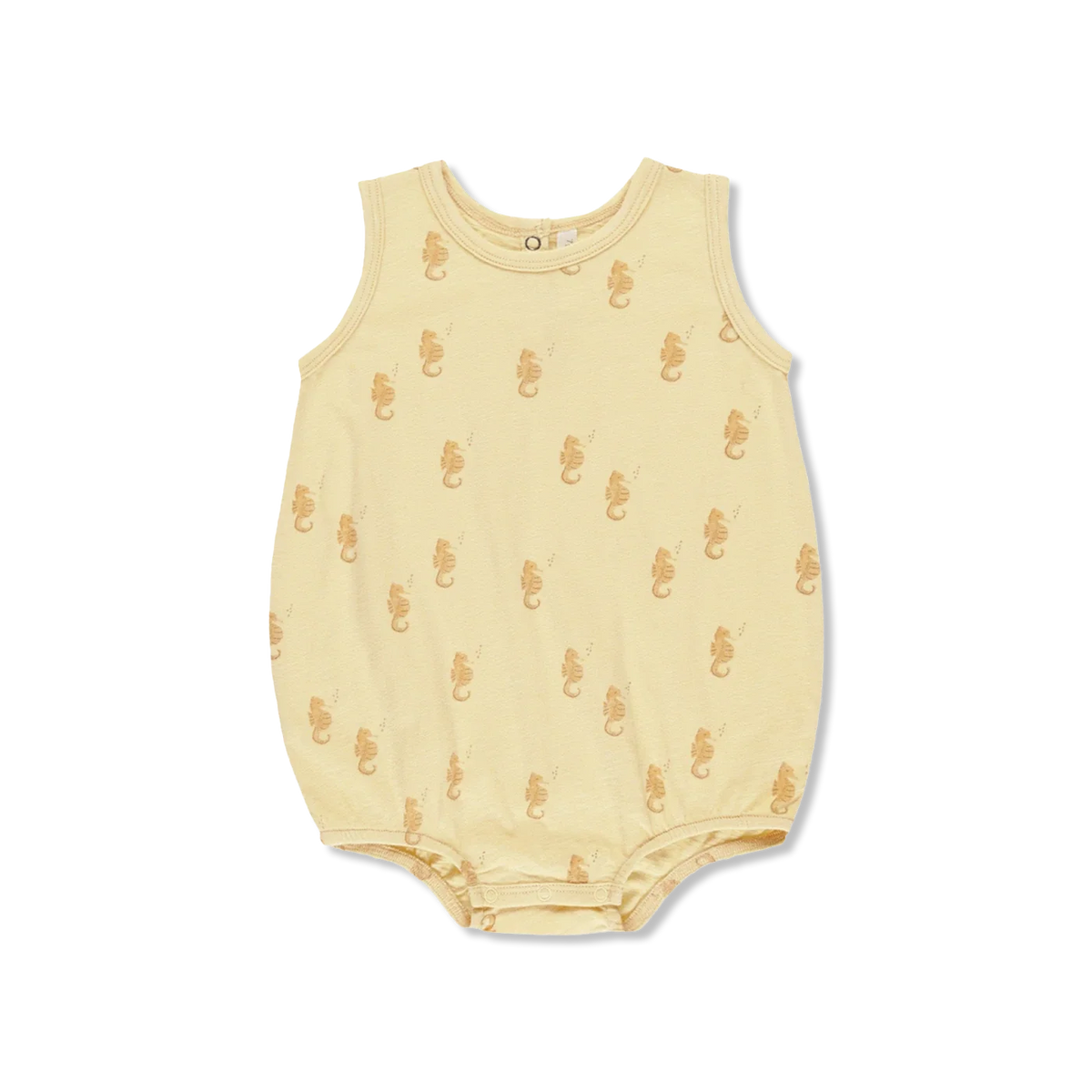 SEAHORSES body