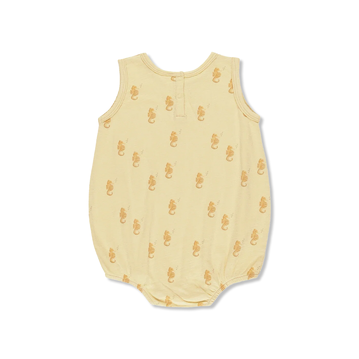 SEAHORSES body