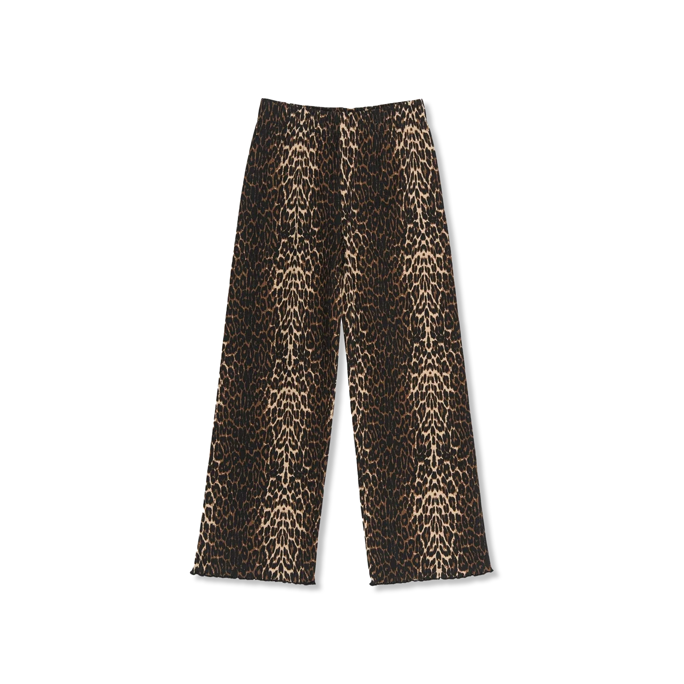 TNEllen hose
