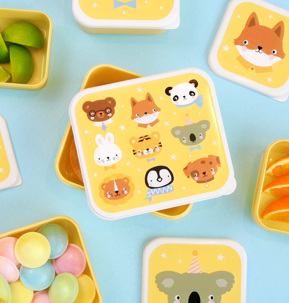 Lunch box set brotdosen