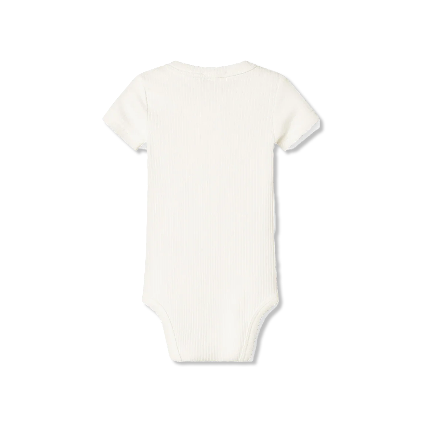 body
