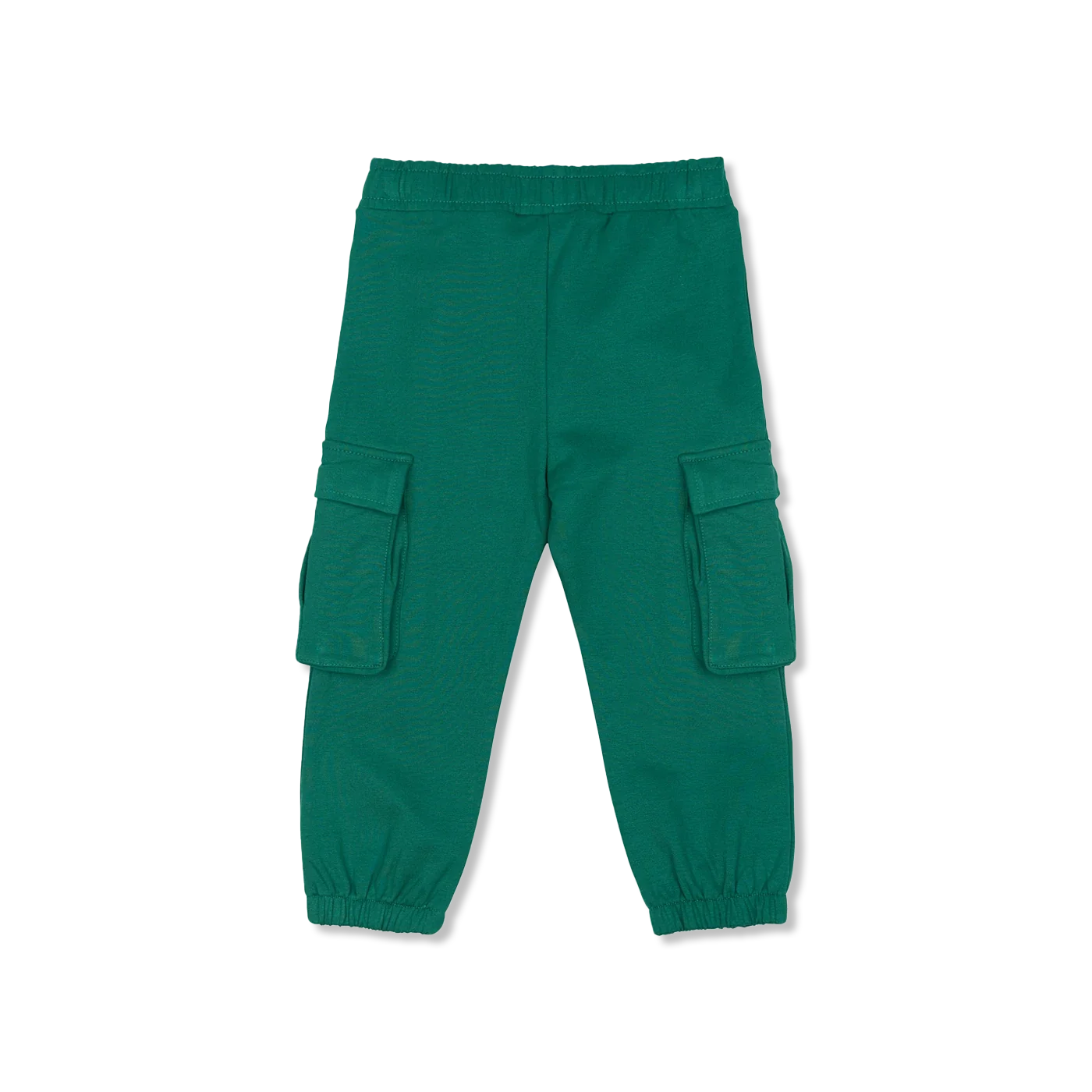 Organic TNSTLegend sweathose