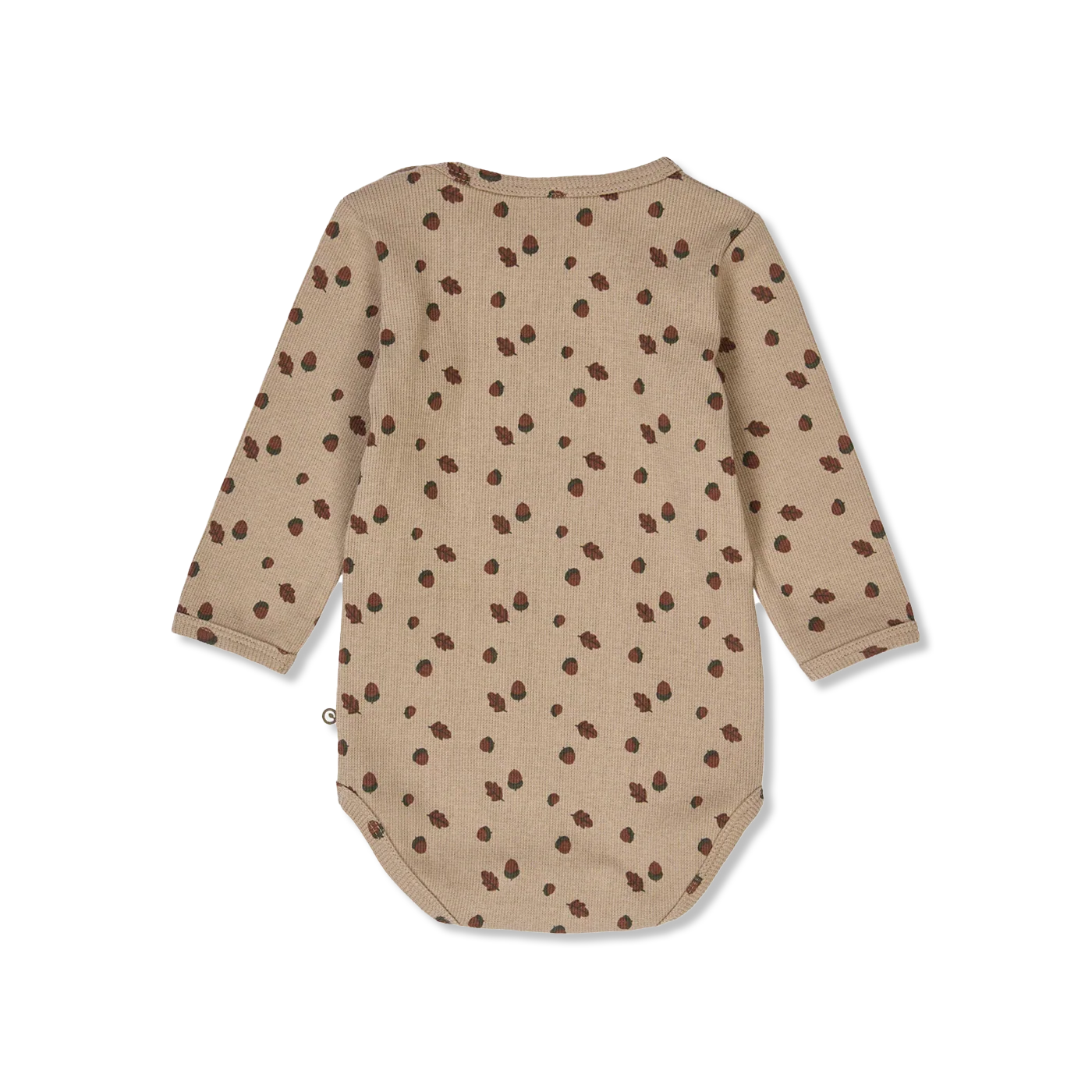 Acorn Body