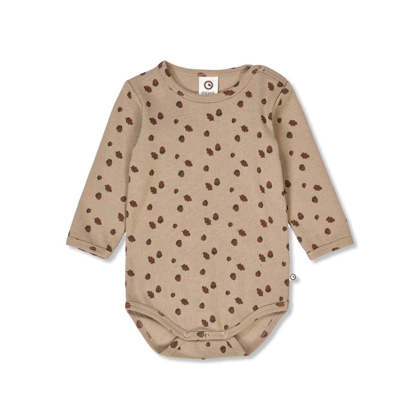 Acorn Body